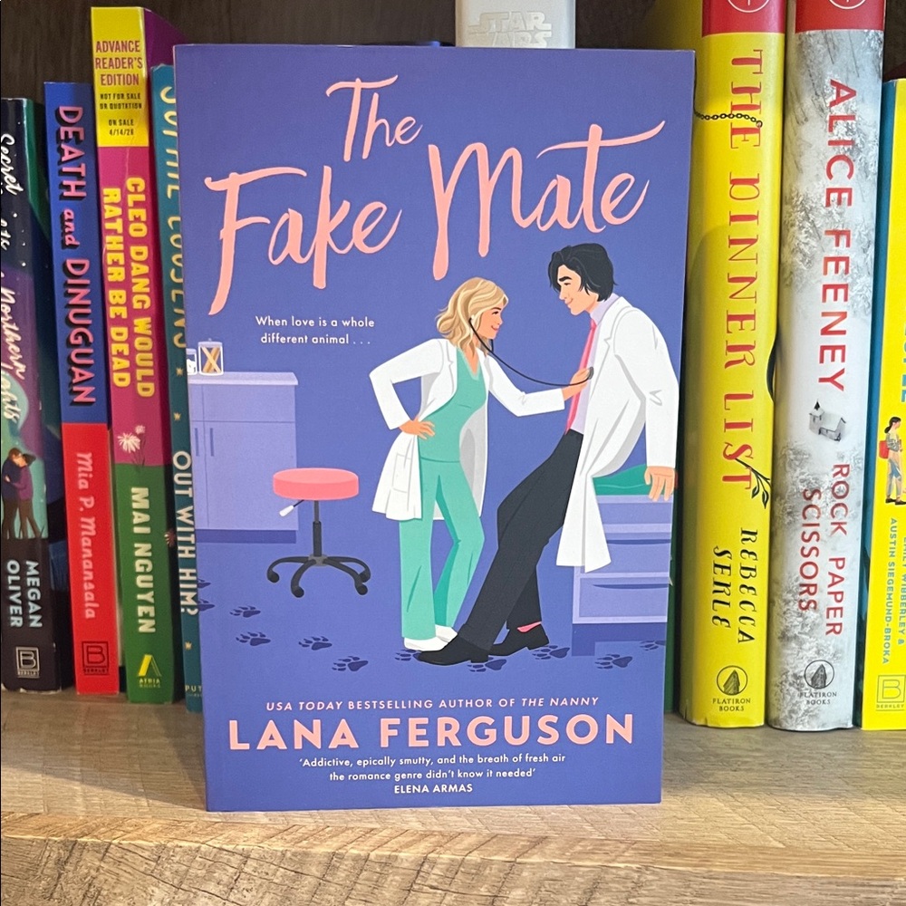 The Fake Mate: a novel